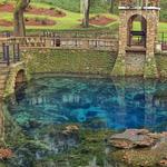 Radium Springs Gardens
