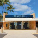Waikīkī Aquarium