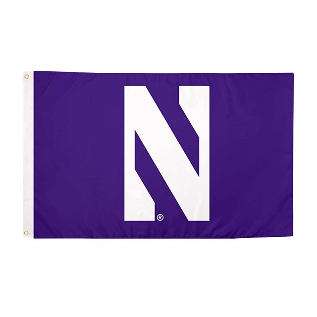 Desert Cactus Northwestern University Wildcats 100% Polyester Indoor Outdoor 3 feet x 5 feet Flag (Flag 1)