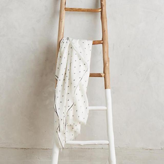 White-Dipped Ladder