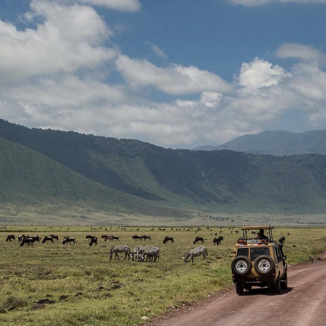 Ngorongoro Crater Excursion