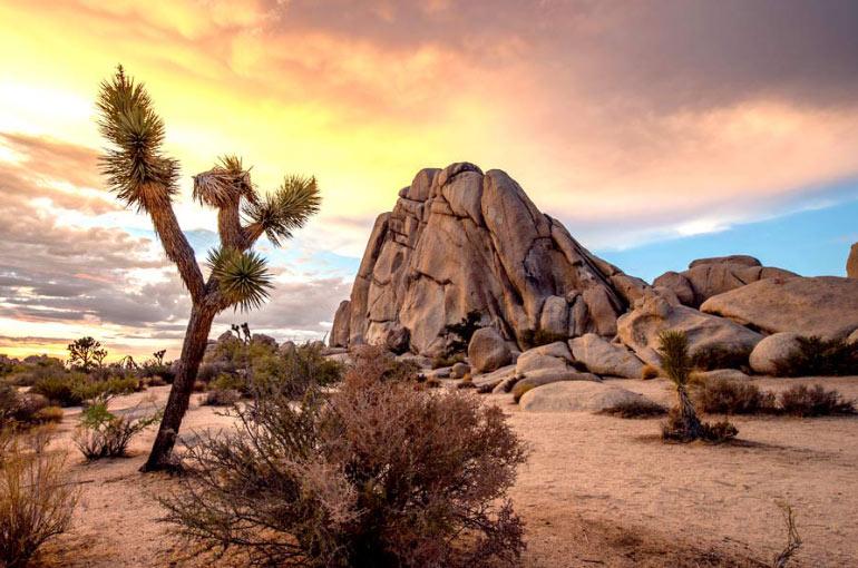 The Wedding Website of Nadia Bowman and CJ Farmer