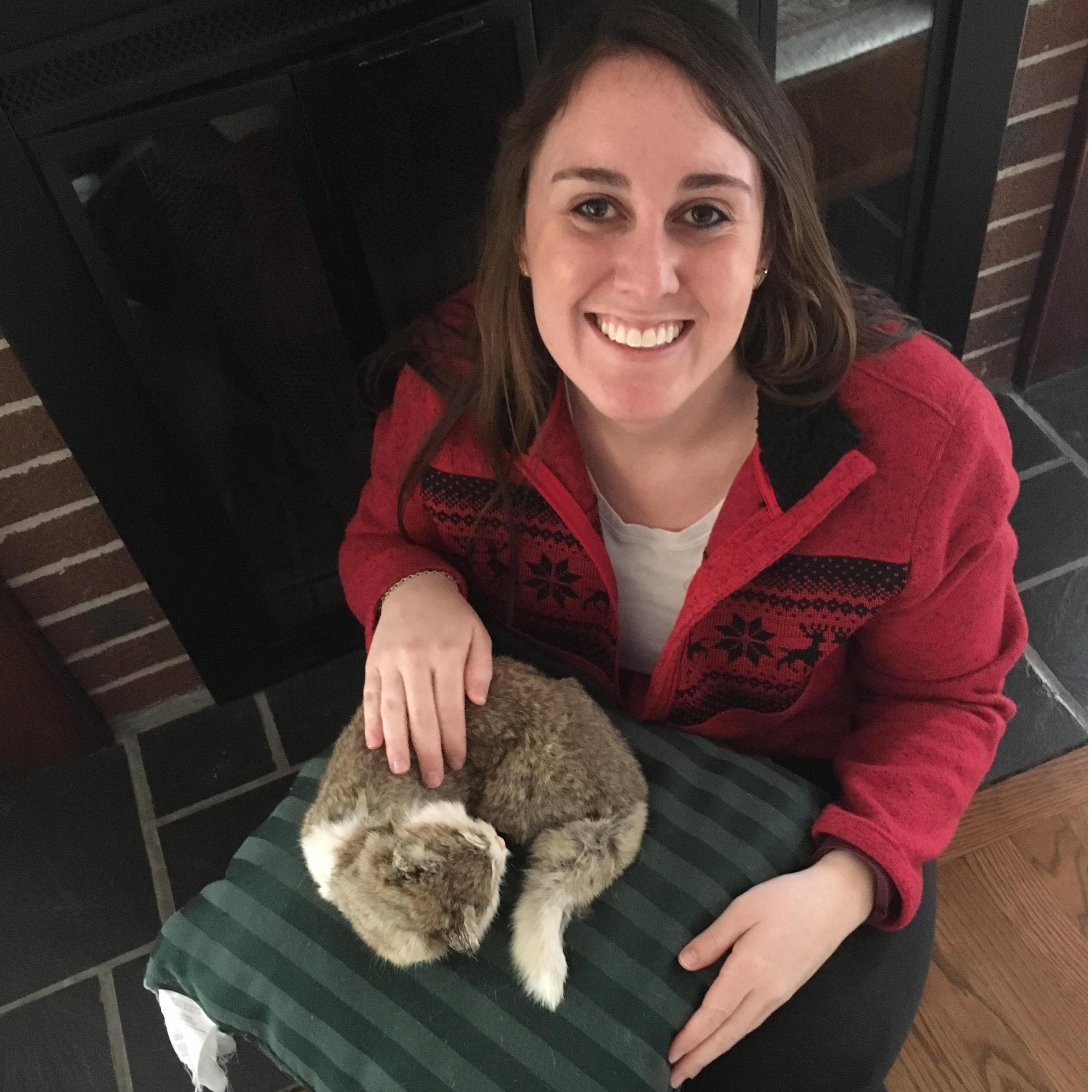 This cat I'm petting is dead. For real. Someone stuffed their pet cat.
