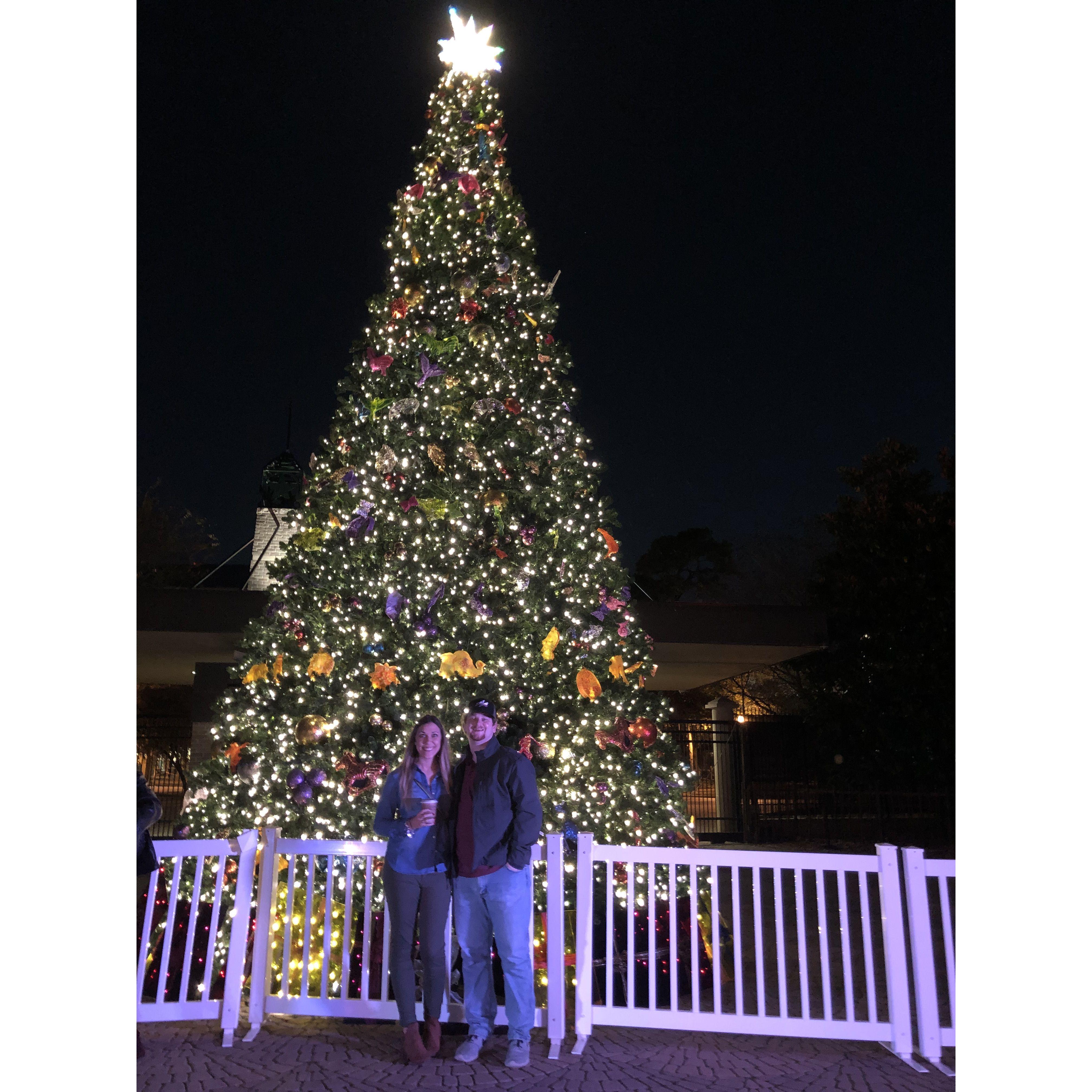 Zoo lights at Houston 2018