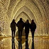 Chicago Botanic Garden Lightscape