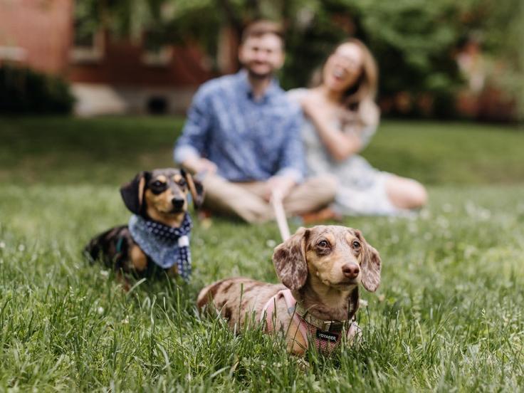 The Wedding Website of Nini Dinh and Brian Mason