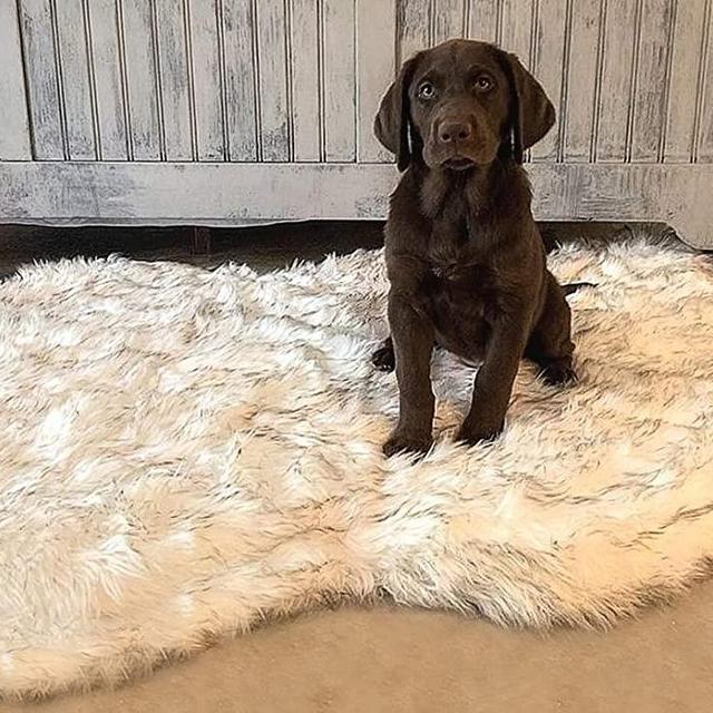 iHappyDog Luxury Faux Fur Orthopedic Dog Bed, Memory Foam Dog Bed​ for​ Small, Medium, Large and XL Pets, Fluffy Pup Rug with Waterproof ​and ​Washable Soft Cover, Bone White