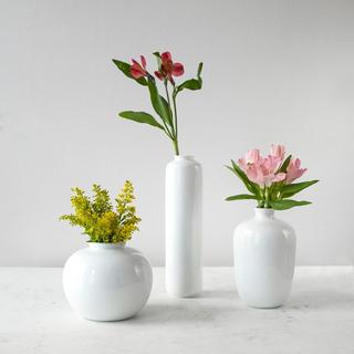 Small Lotus Root Vase