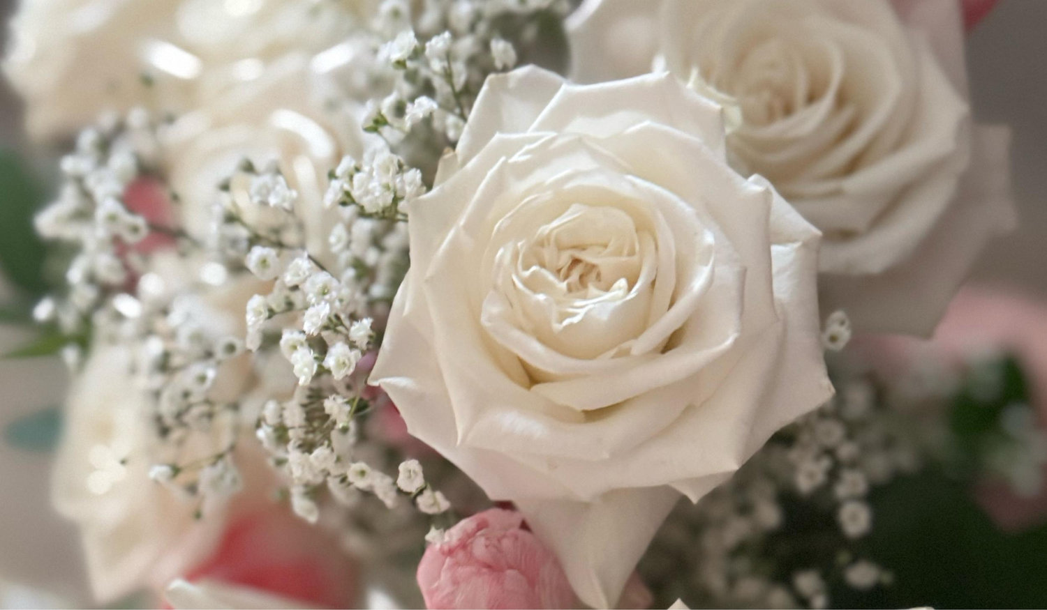 Footer image