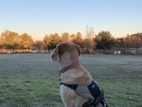 Mueller Lake Park
