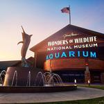 Wonders Of Wildlife National Museum & Aquarium