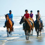 Horseback Riding