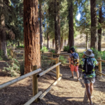 Hiking Trails