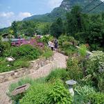 Lake Lure Flowering Bridge