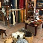 Isaac Vásquez Studio by The bug in The Rug