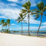 Harry Harris Beach and Park