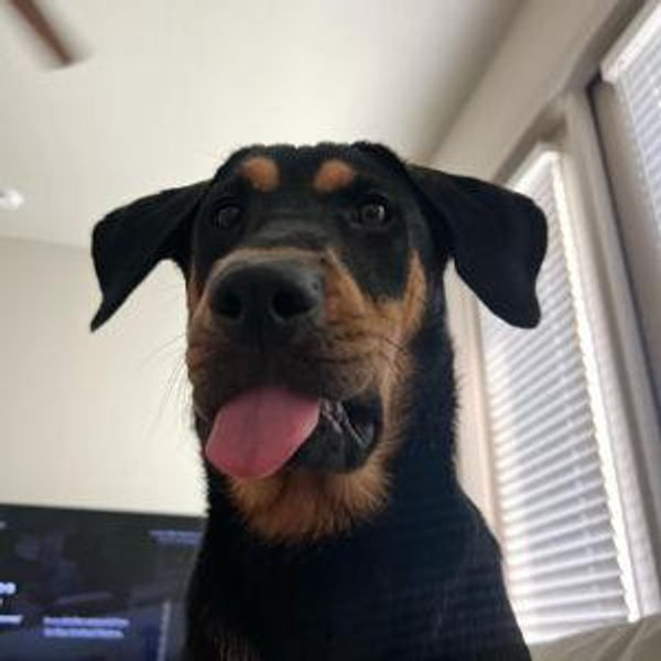 Life Fund !!! (honeymoon, house, babies, treats for obie!))