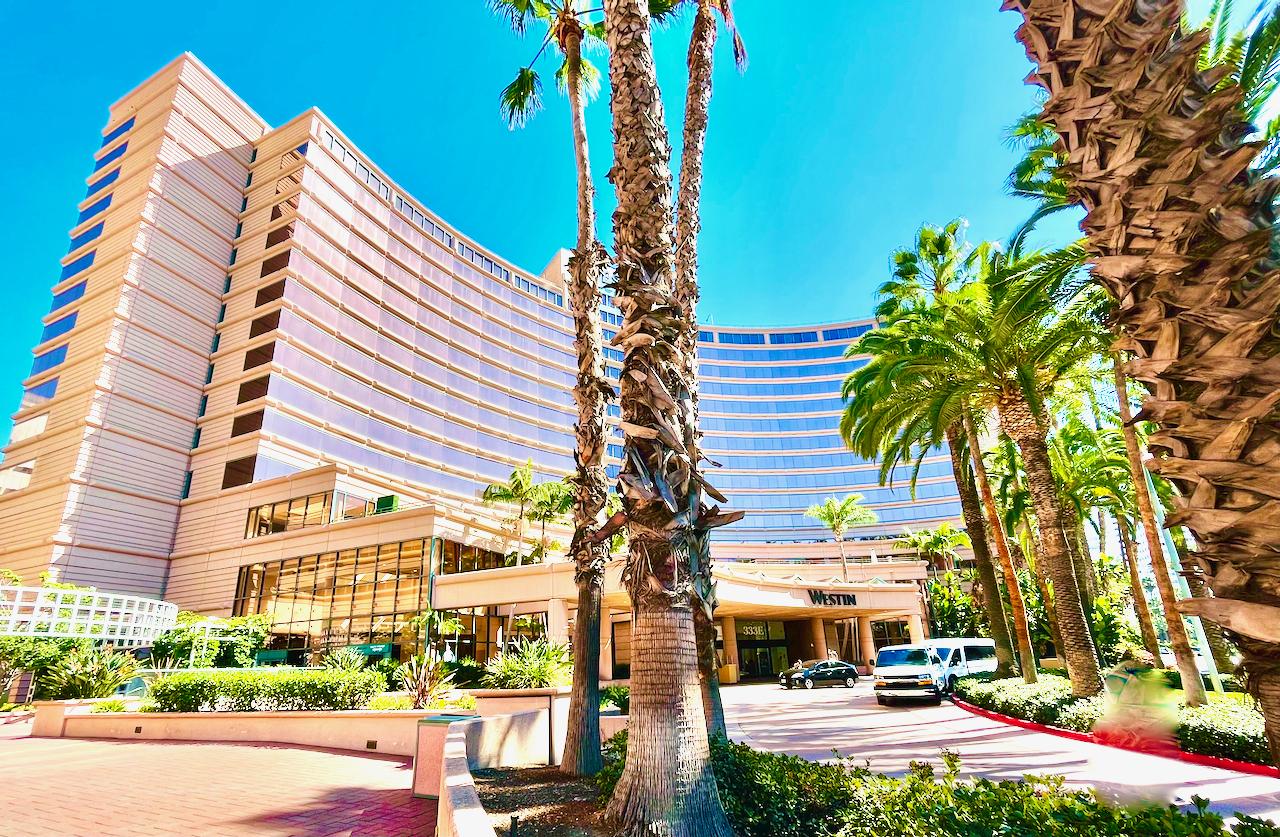 The Wedding Website of Lindsey Long and Gustavo Bendezu