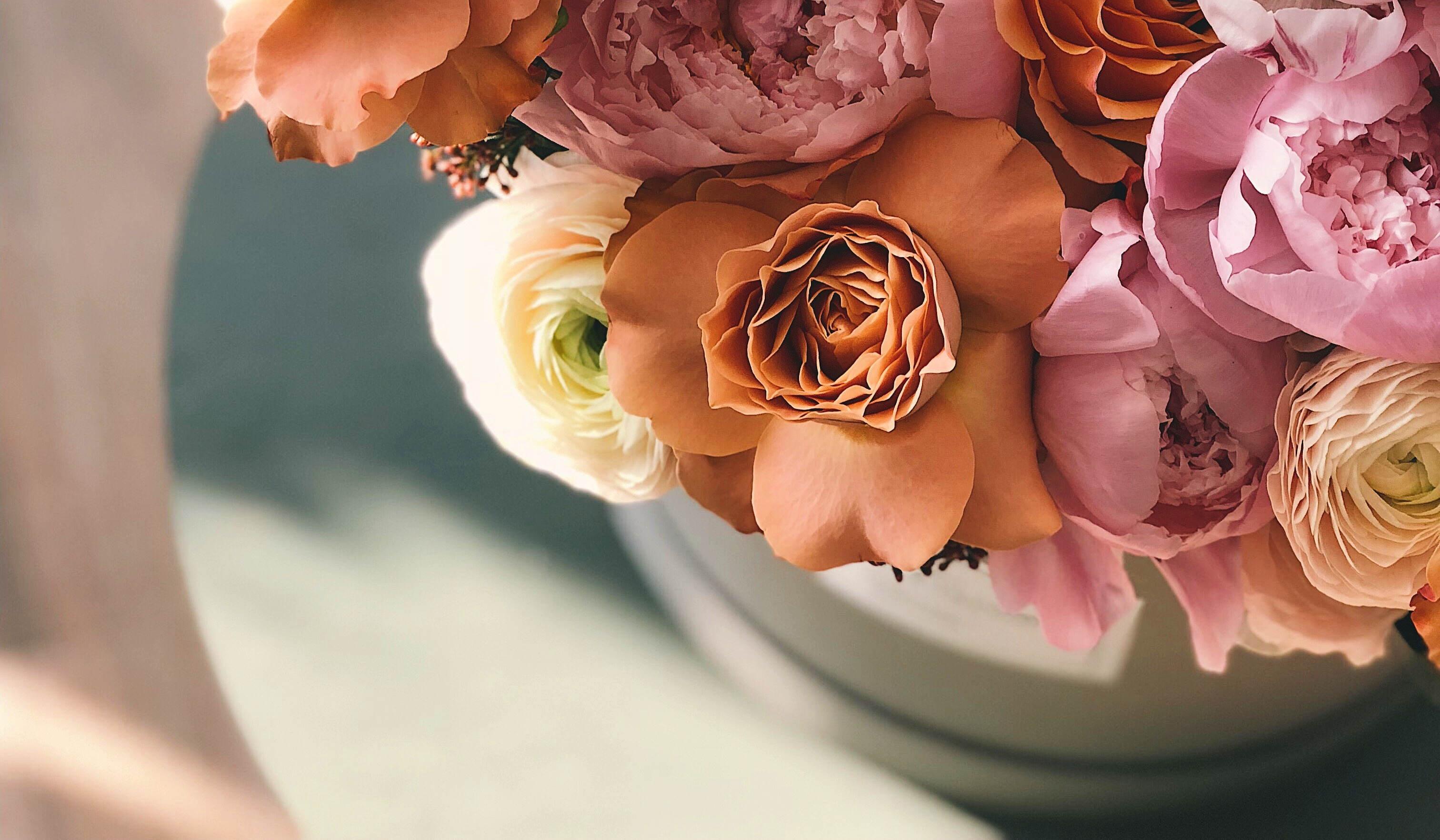 Footer image