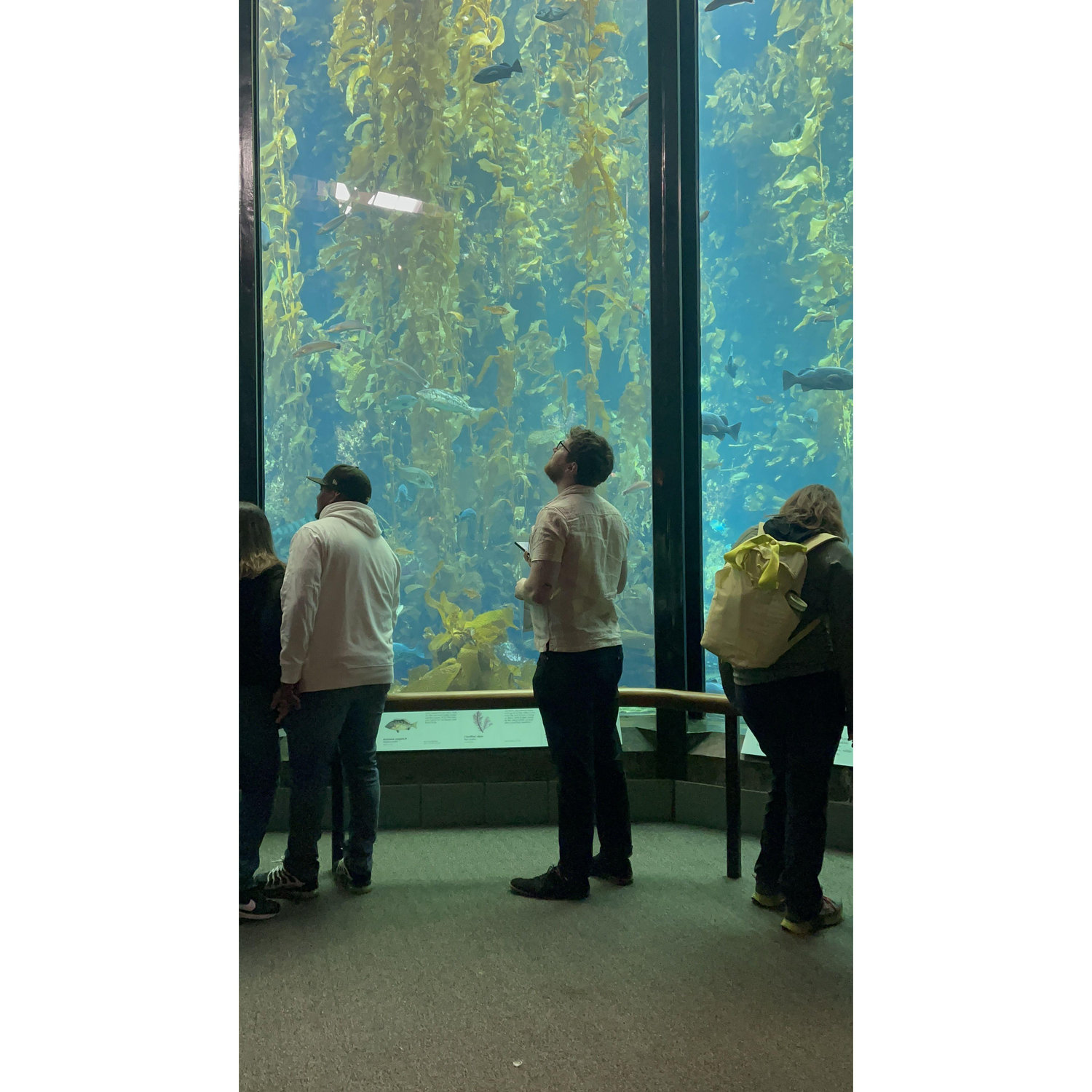 Kieran absolutely lost in the kelp forest.
I call this lil Kie, big world