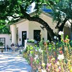Signor Vineyards