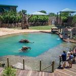 Houston Zoo