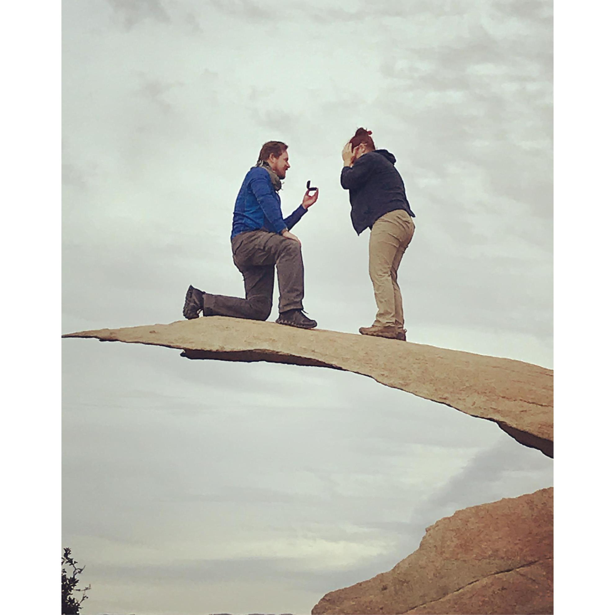 A surprise atop Potato Chip Rock 🥰