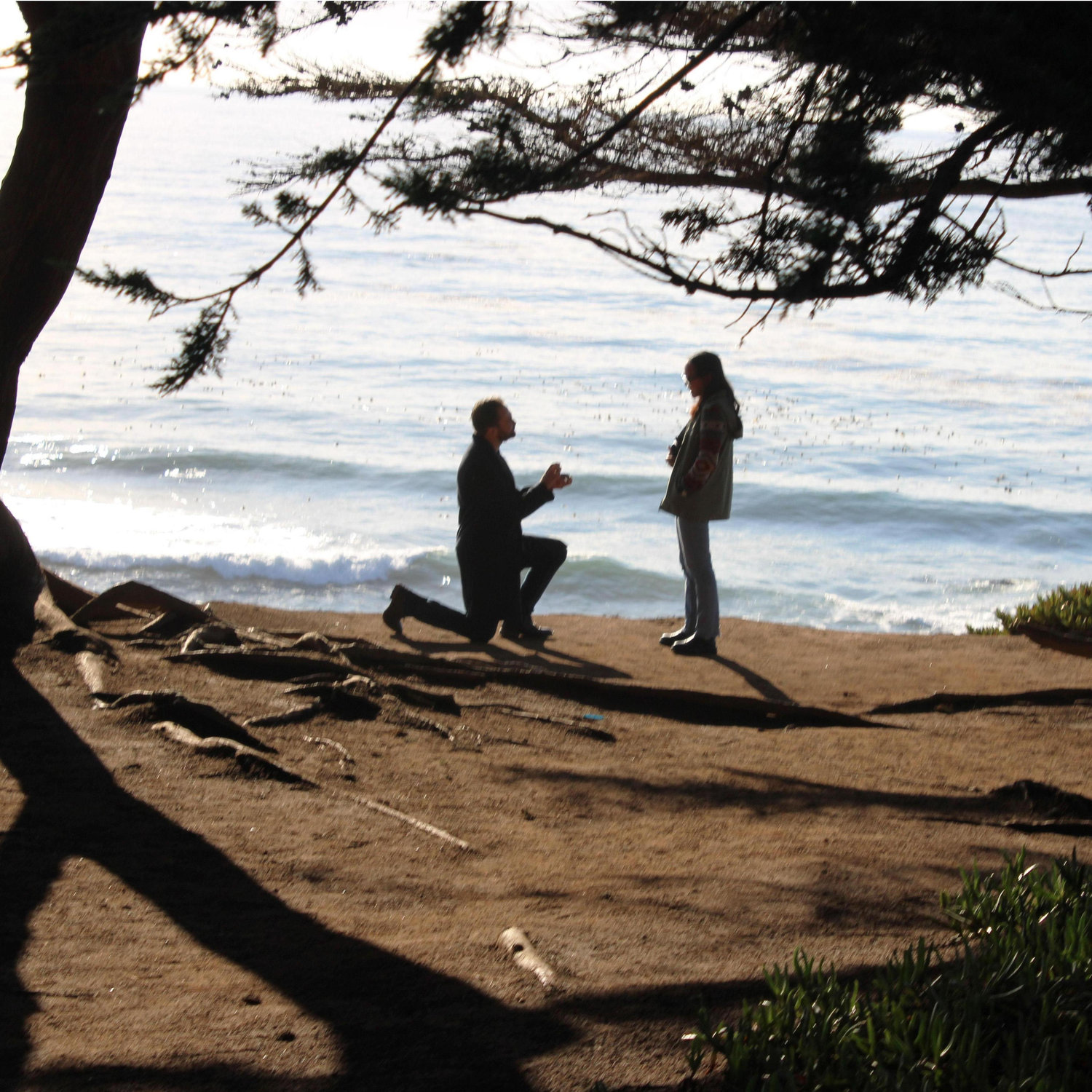 Nov 24, 2024- Clayton proposed on the cliffs of Cambria at Leffingwell Point