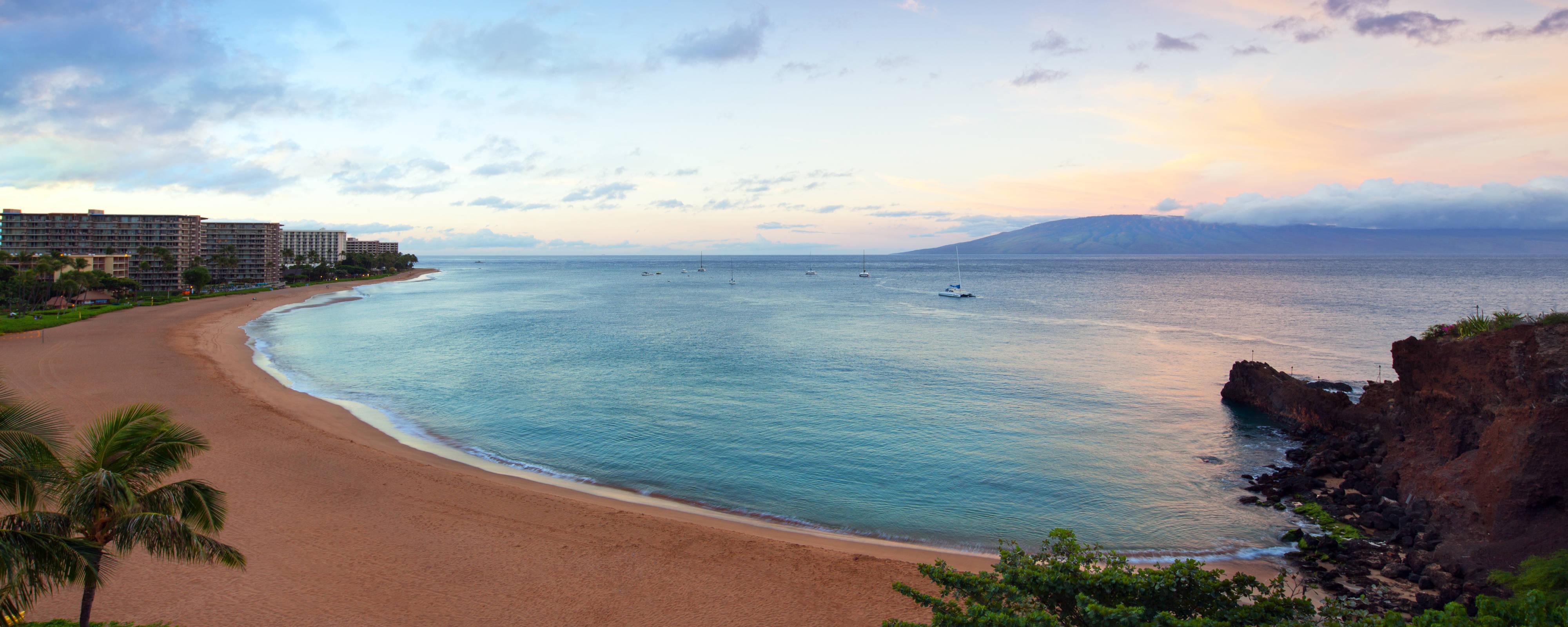 The Wedding Website of Corrine Horvath and Peter Forrest