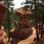 Hiking Trails