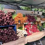 Steamboat Farmers Market