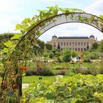 Jardin des Plantes