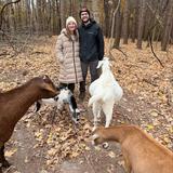 Hoof It Goat Treks