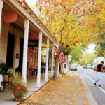 Main Street Murphys