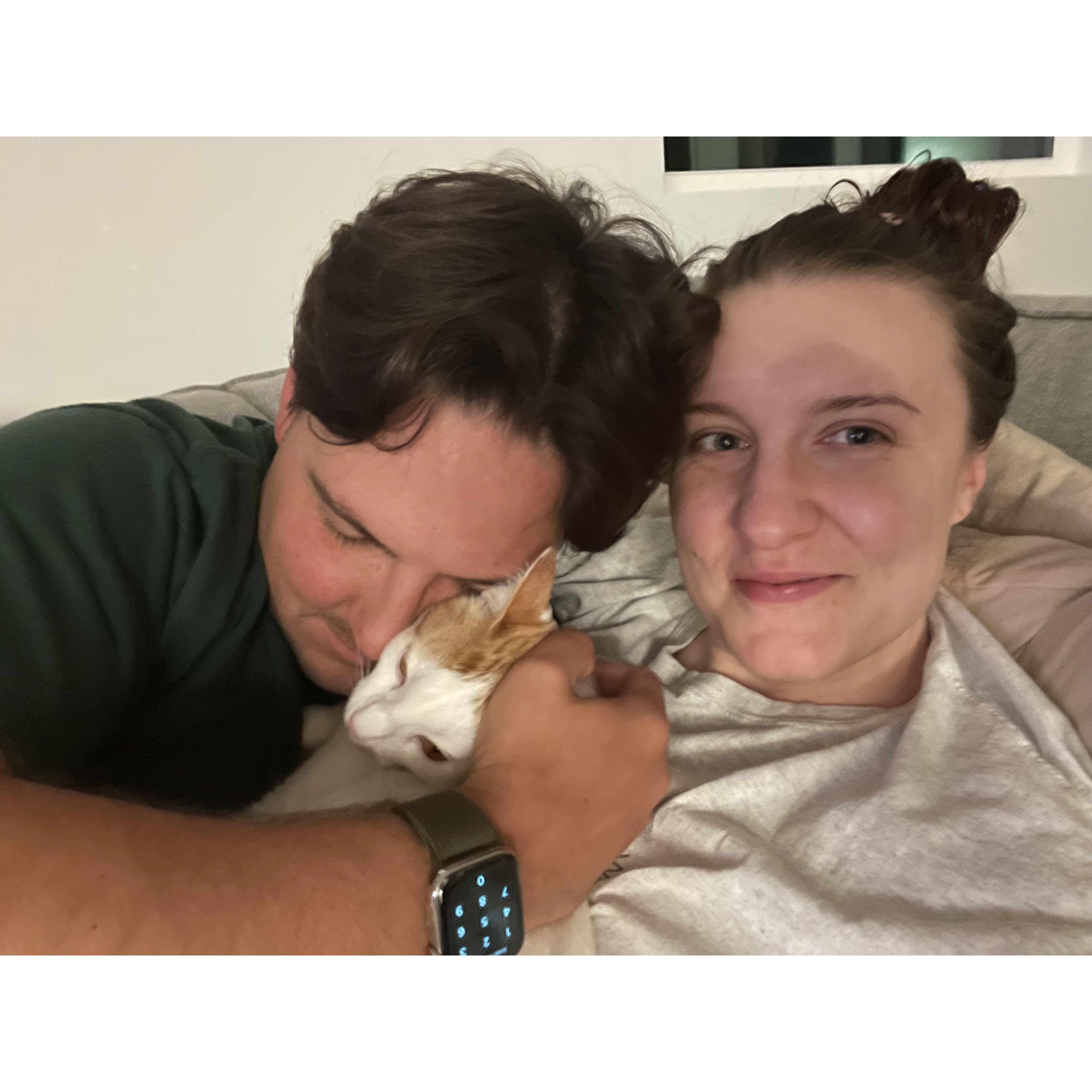 Cats are amazing.