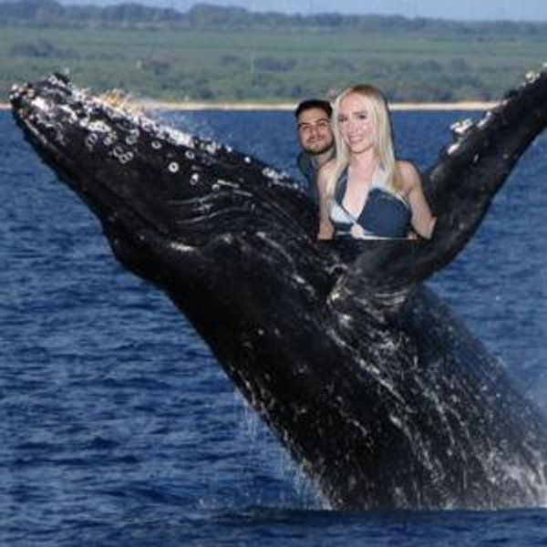 Maui Whale Watching Catamaran Experience