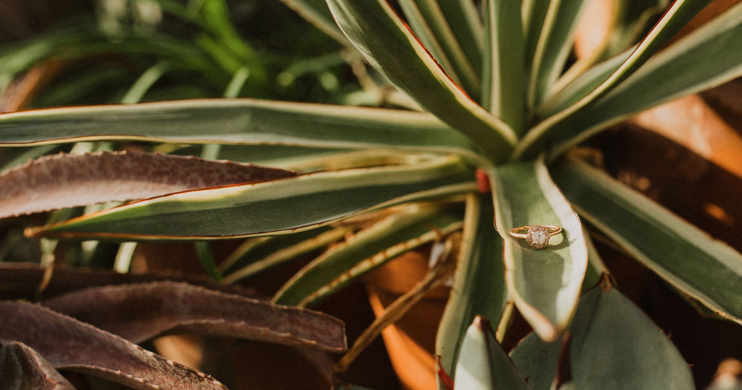 The Wedding Website of Danielle Shearer and Jake Earp