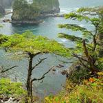 Cape Flattery