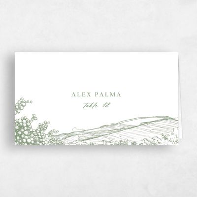 Bright Sage, Green Wedding Place Card - Fico