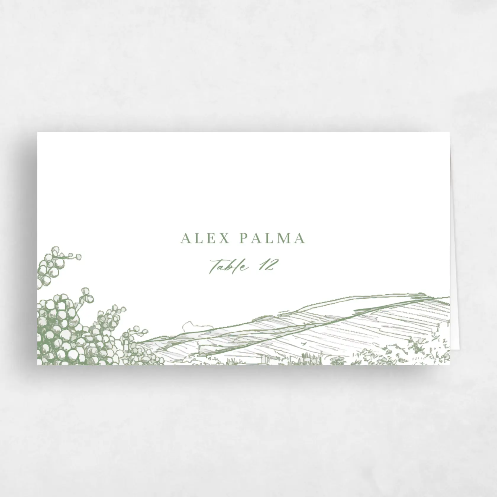 Place Card - Fico preview