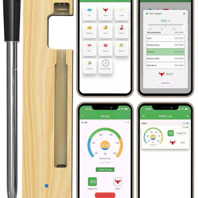 Grill Sync Digital Meat Thermometer Digital Wireless Dual Sensor Bluetooth BBQ Thermometer for Grill, Cooking Smoking, Oven Waterproof Meat Probe with USB-C Charging Case, App-Controlled, 165FT Range