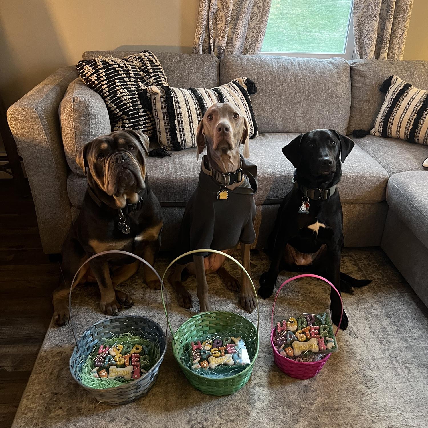 Their 4-legged babies!