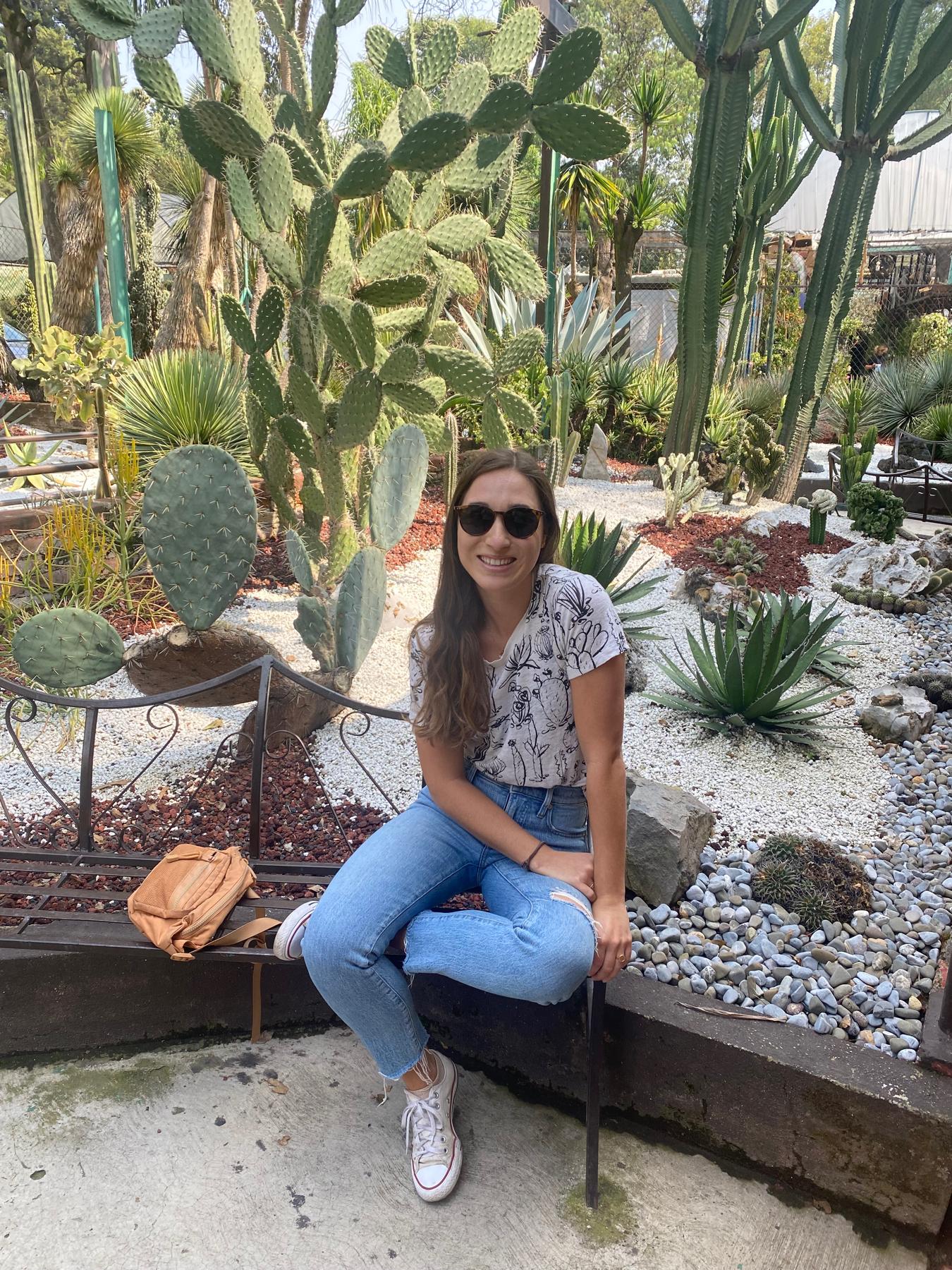 Plant market in Coyoacan