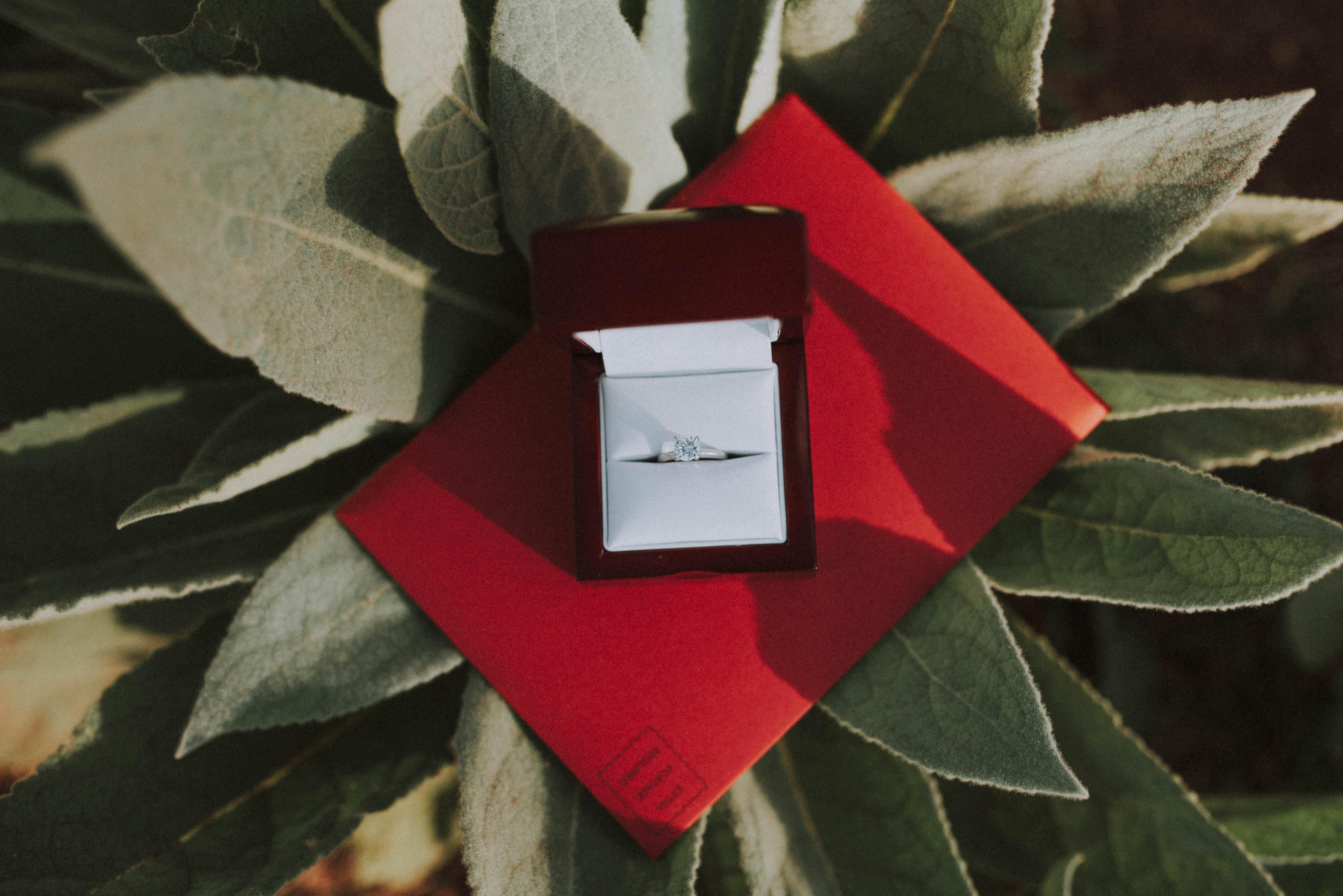 The Wedding Website of Mariana Ortega Caballero and Robert James Kratman