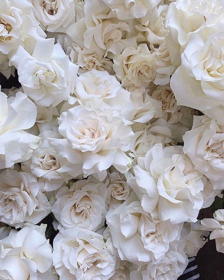 The Wedding Website of Marissa Turner and Gevon Wheeler
