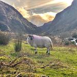 Gap of Dunloe