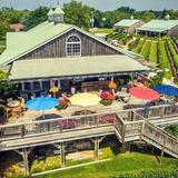 Cape May Winery & Vineyard