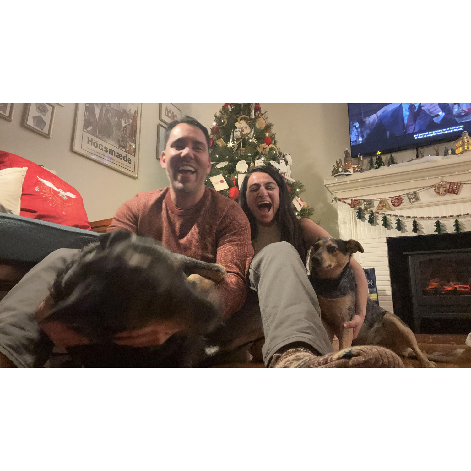 Trying to take a nice picture by the tree with the doggies and failing miserably lol- Christmas eve 2024.