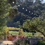 Old Creek Ranch & Winery