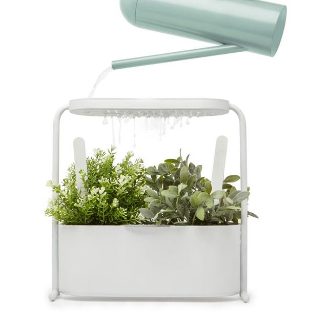 Umbra Giardino Herb and Garden Plant Set in White